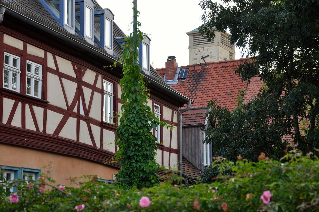 Gastezimmer Am Hof 美因河畔法兰克福 外观 照片
