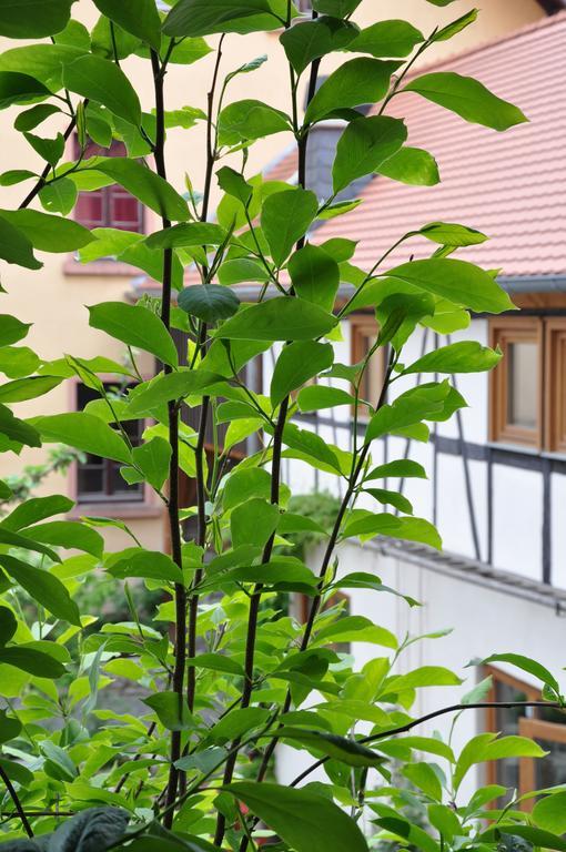 Gastezimmer Am Hof 美因河畔法兰克福 外观 照片
